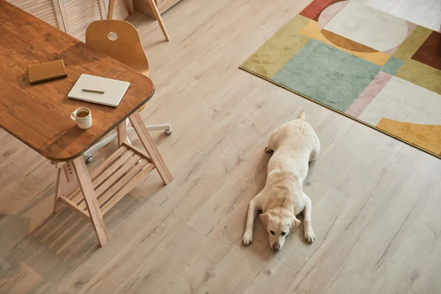 LVT flooring with dog laying on floor