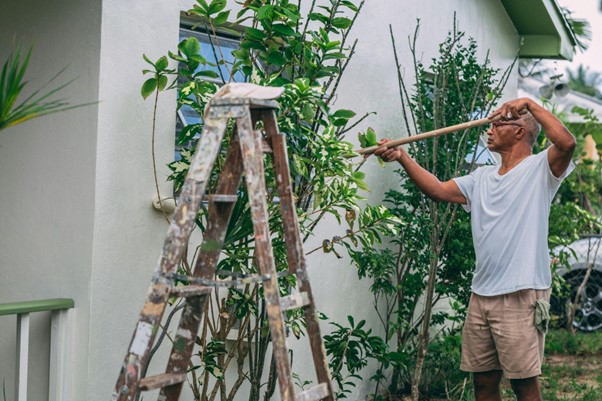 man painting with ladder nearby