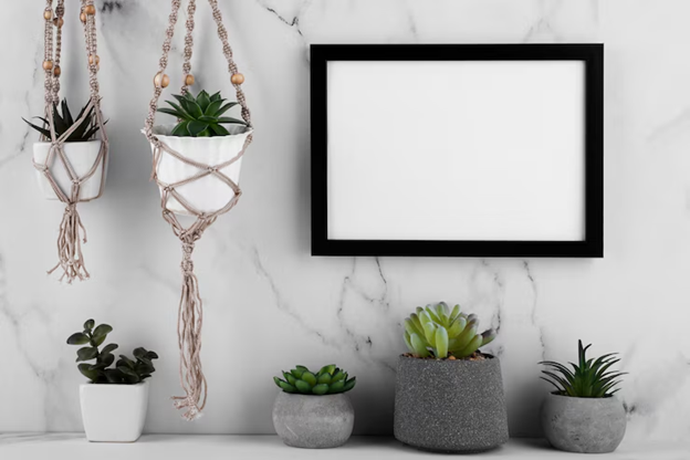 succulents with framed wall art