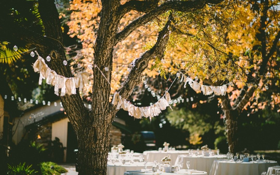 backyard dining table under tree with string lights and place settings