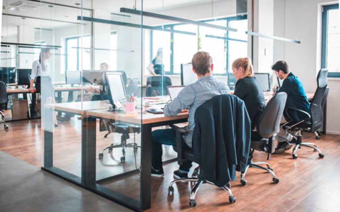 people working at desks with clear office cubicle partitions