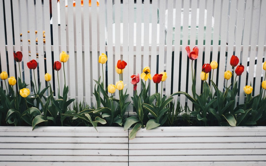 white fence with flowers planted in front