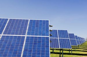 many solar panels in field