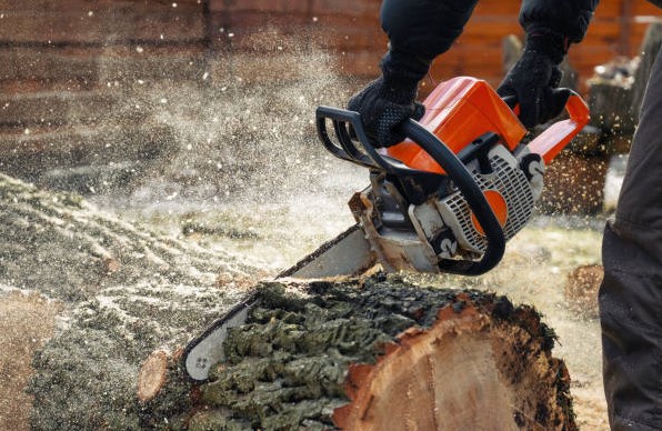 DIY vs Professional Tree Removal: Why It’s Better to Hire Experts