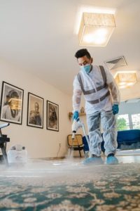 professional steam cleaning carpet