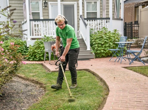 5 Lawn Care Mistakes Homeowners Make and How Professionals Can Help