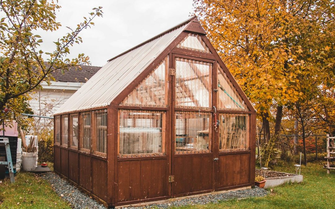 backyard garden shed