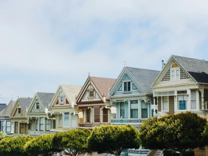 tree lined neighborhood of homes