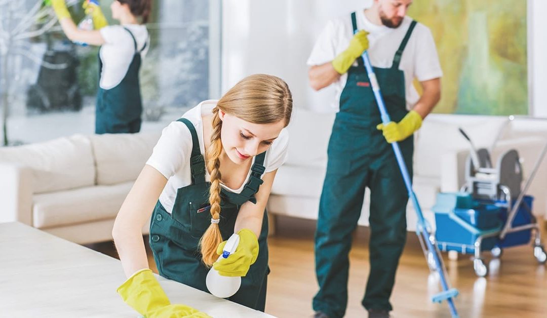 professional cleaning people working