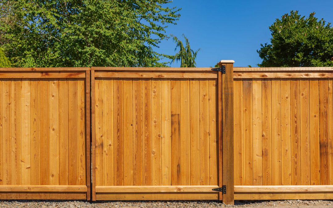 Timber Fencing: Expert Tips And How To Request A Quote