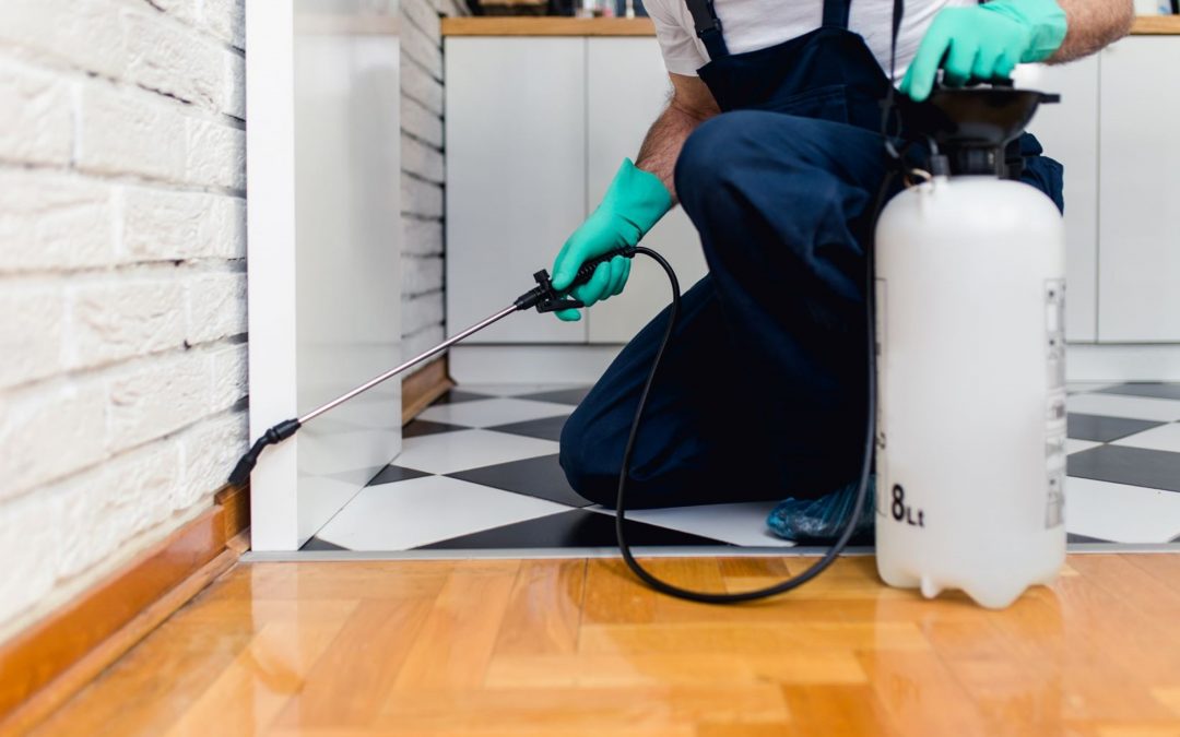 How to Find a Trusted Pest Exterminator: Tips for Homeowners 