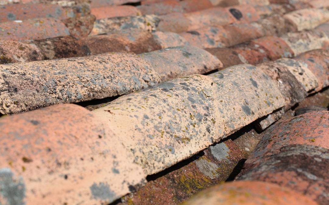 What to Expect During a Roof Repair Process from Start to Finish