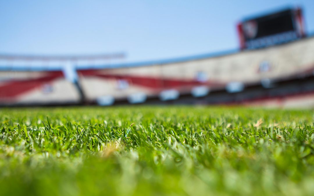 tight focus image of turf with a large structure in the background which is out of focus