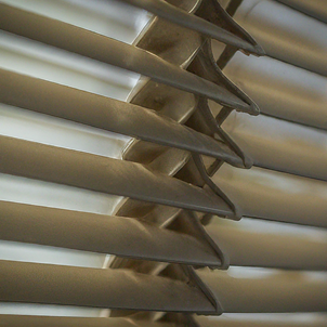 window blinds