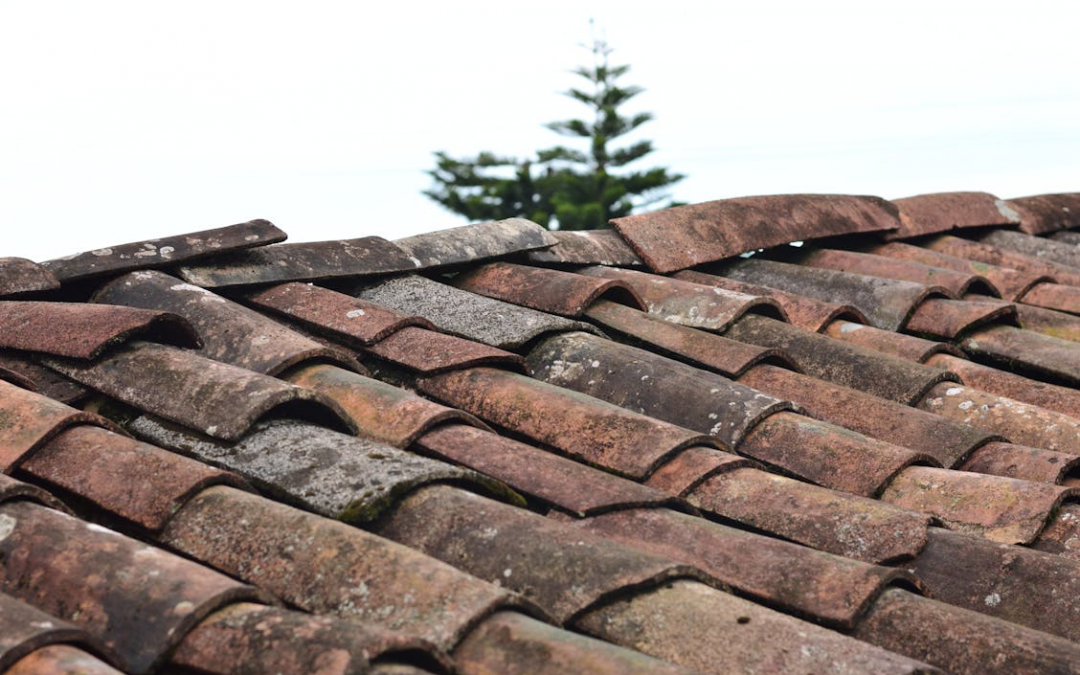 The Long-Term Consequences of Ignoring Your Severely Damaged Roof