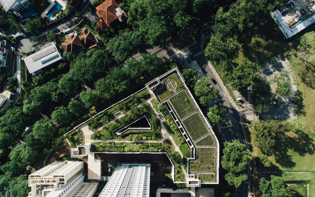 rooftop garden top down in city