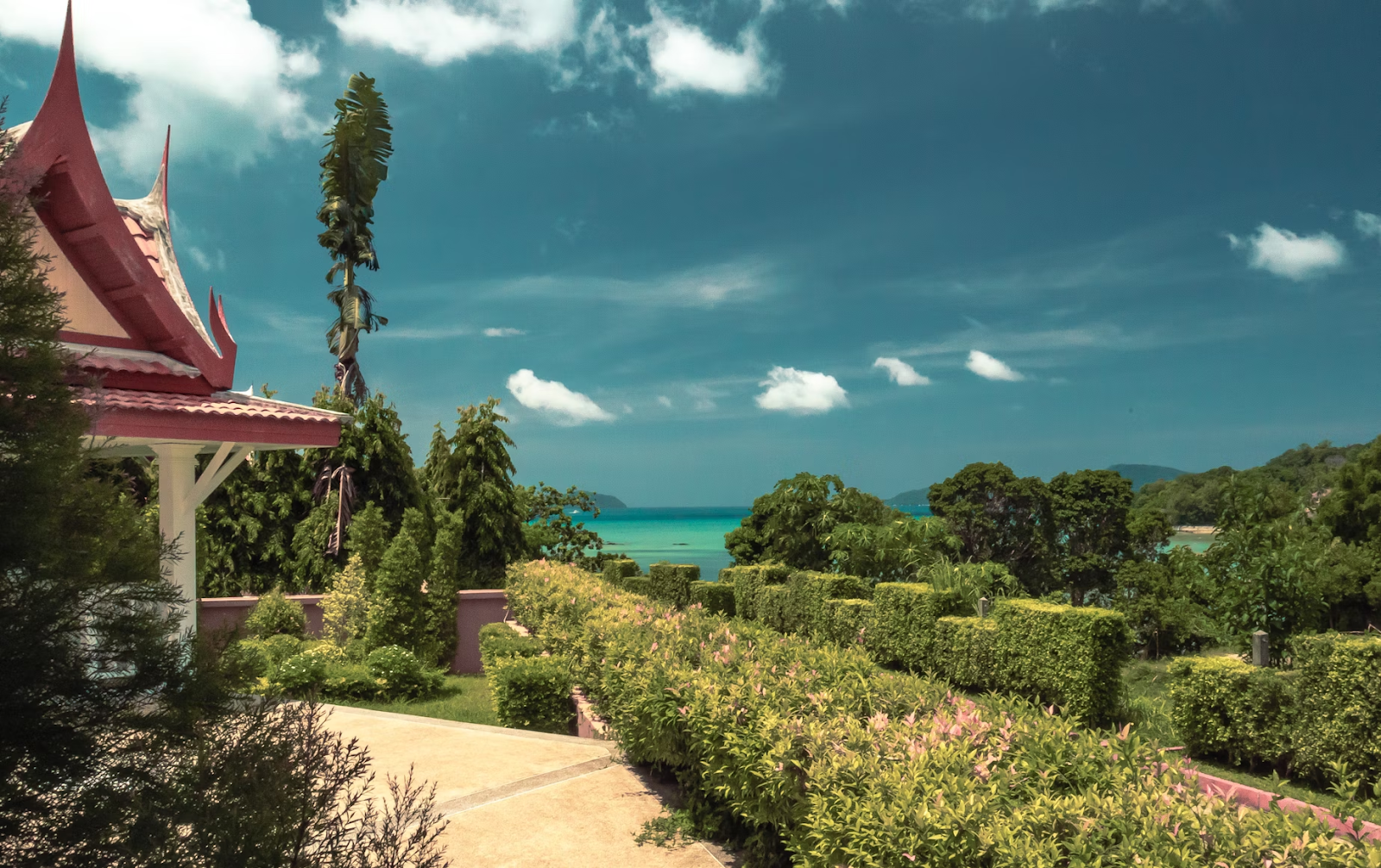 Beautiful Garden View