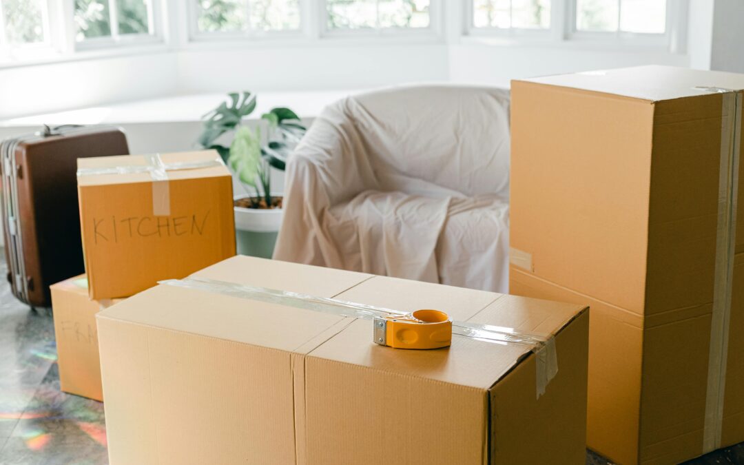 5 Things To Know About Removal Services