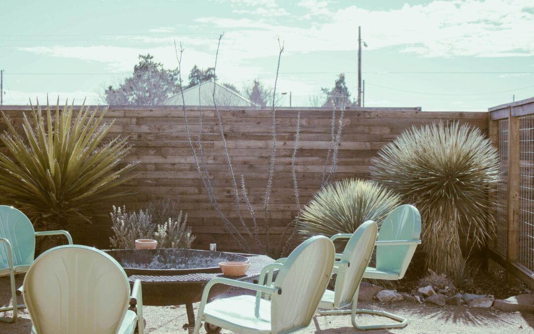 Back yard