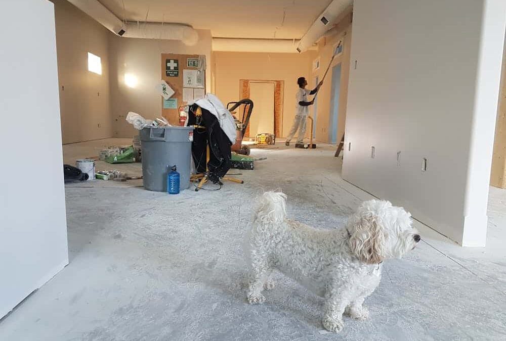 Is It Time to Remodel? 7 Signs Your Home Needs an Update
