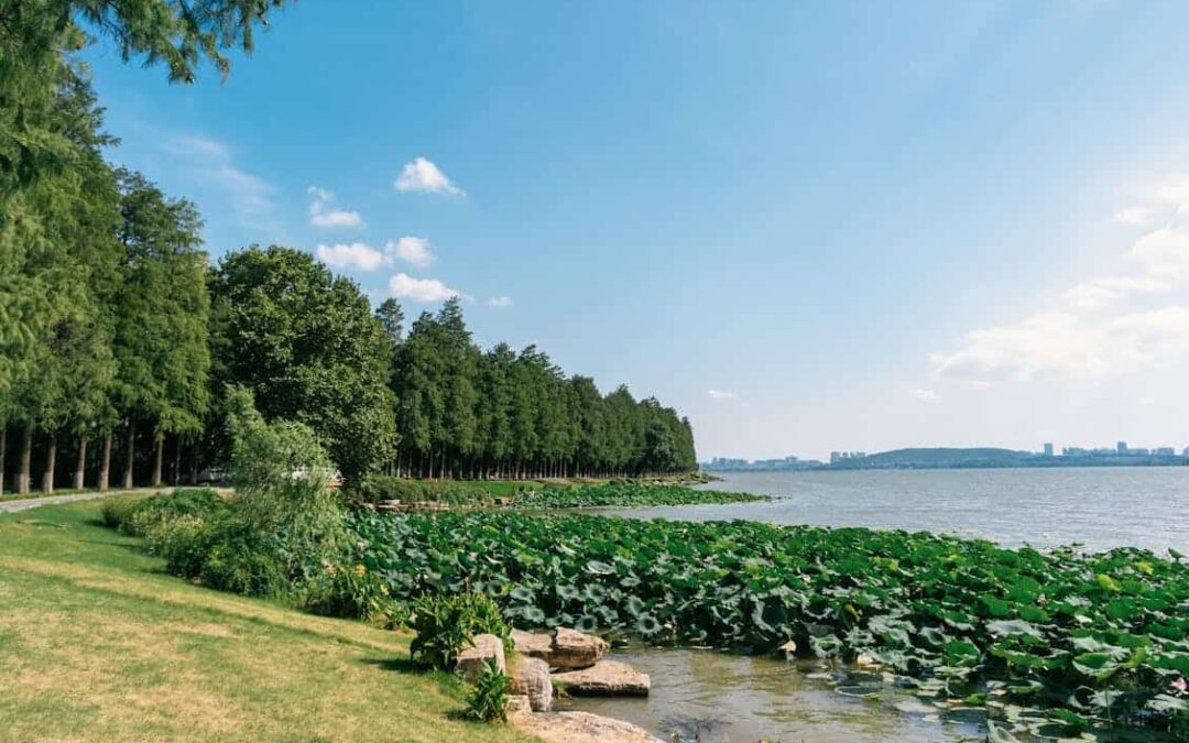 Inherited property in East Lake? You Can Sell The House for Cash