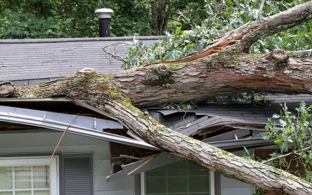 A Step-By-Step Insurance Claiming Guide For Storm Damage
