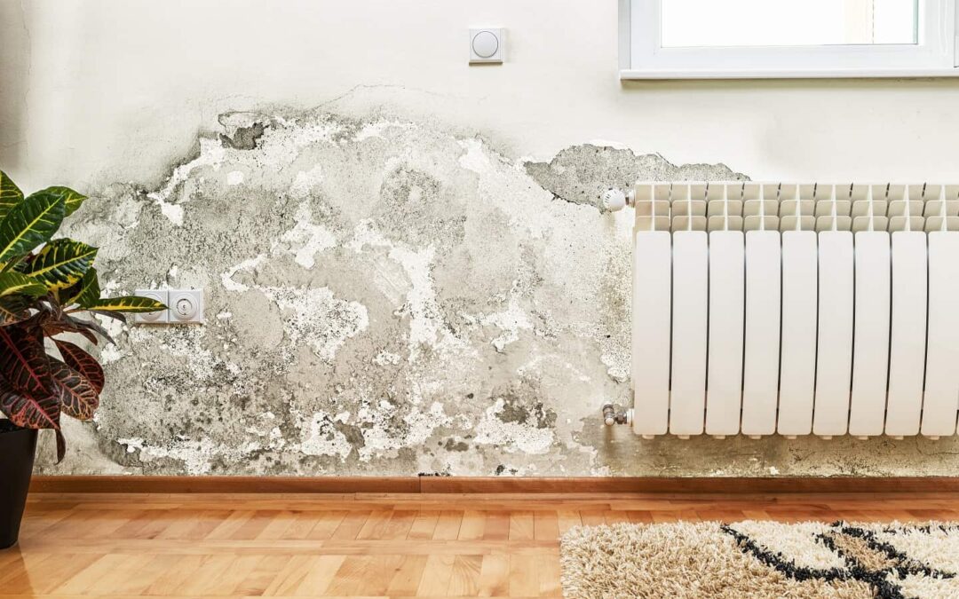 8 Signs Of A Damaged Room