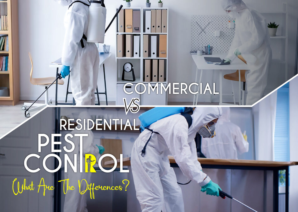 Commercial vs Residential Pest Control – What are the Differences?