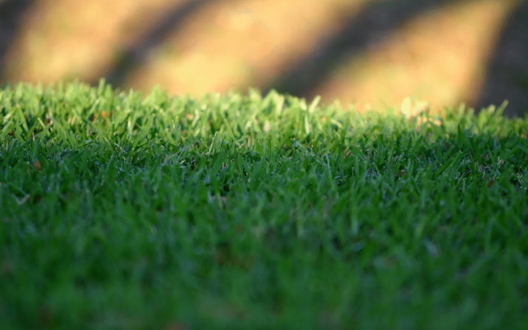 How to Handle Seasonal Workload Fluctuations in the Lawn Care Industry