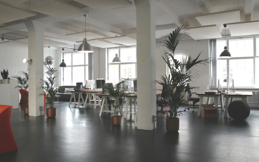 How Office Movers Help Your Business Relocate Efficiently