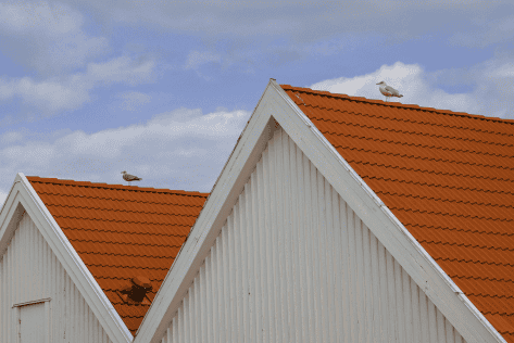 How to Spot Roof Damage Early: A Guide for Homeowners