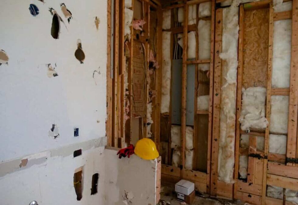 Can Bed Bugs Live in Insulation? What Homeowners Need to Know…