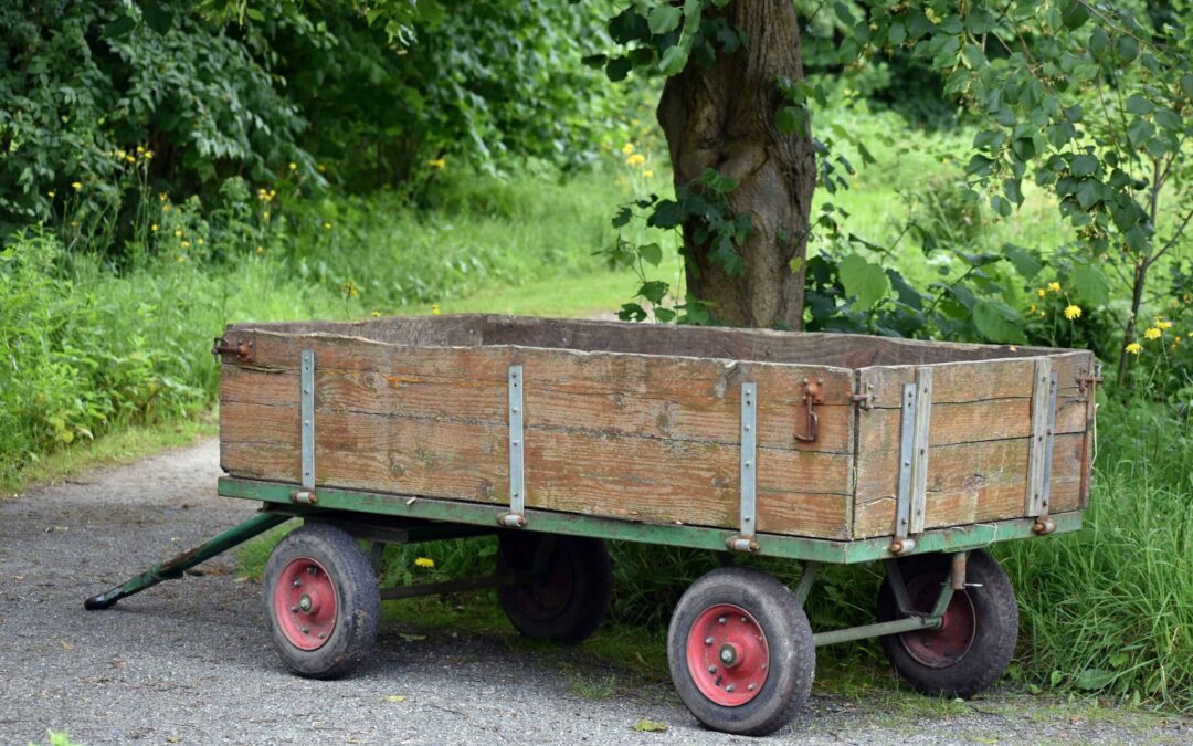 What Should You Know Before Using a Garden Cart?