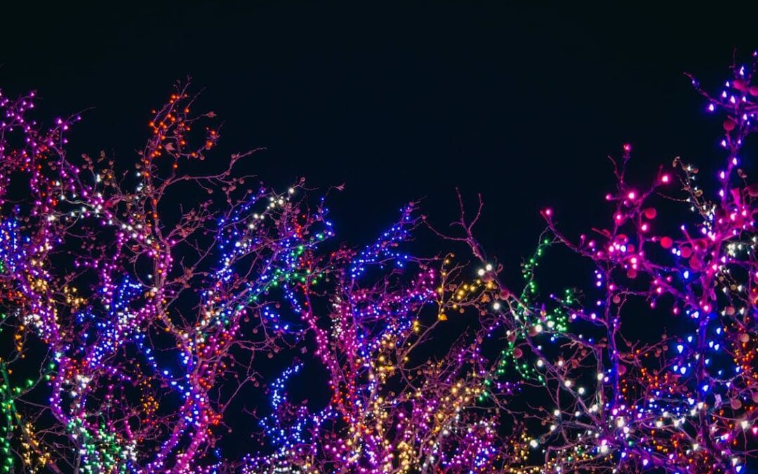 Professional vs DIY Outdoor Christmas Lights: Pros and Cons You Should Know