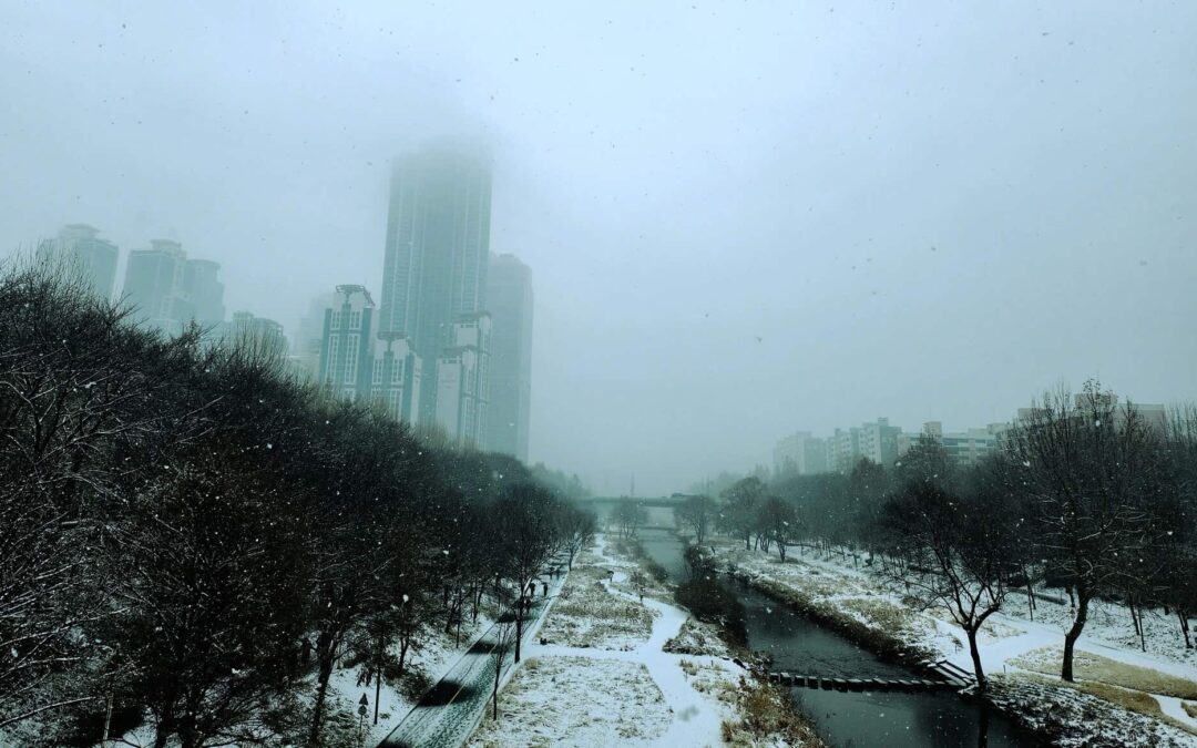 How to Prepare Your Home for Severe Weather