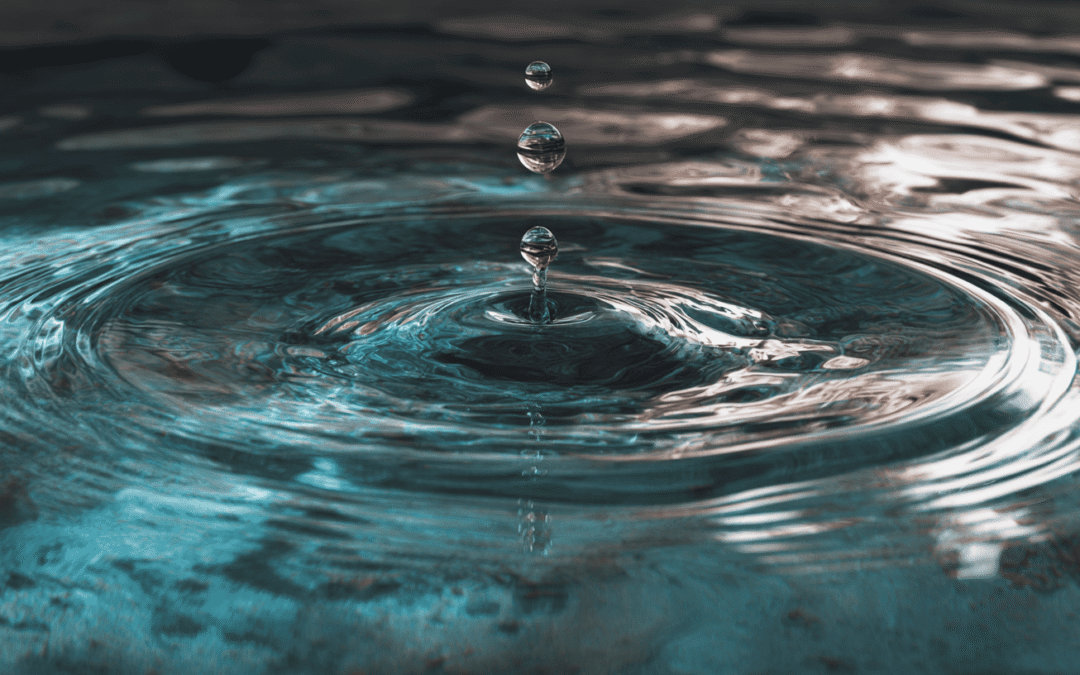 How to Lower Your Water Bills with Early Leak Detection