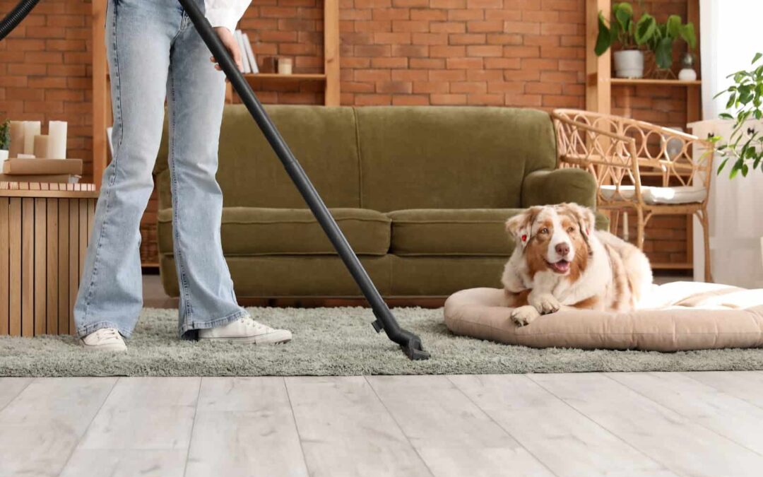 Pet Owners’ Ultimate Guide to Carpet Maintenance: Keeping Your Home Fresh and Damage-Free