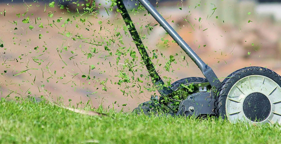 What Homeowners Should Know About Seasonal Lawn Care