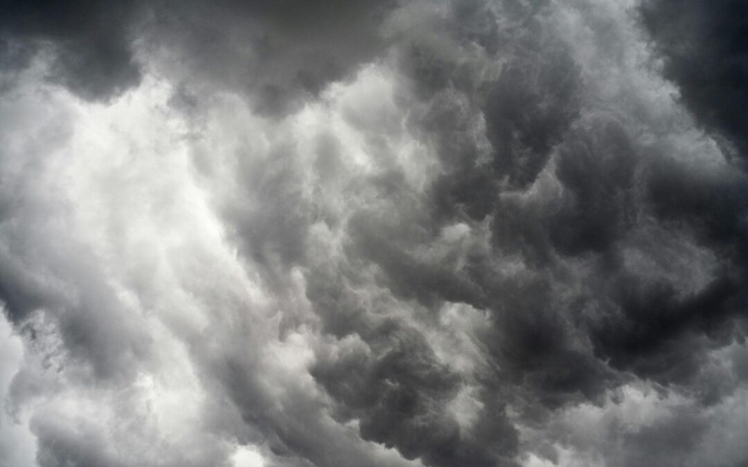 Champaign Storm Season Preparation: Pre-Storm Tree Maintenance, Benefits & Common Risks