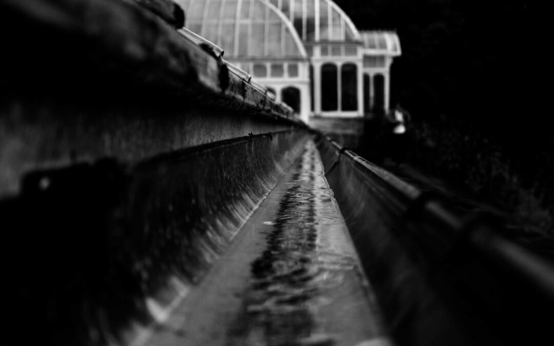 Gutters, Siding, and Roofs: Why Exterior Systems Should Work Together