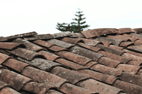 Roof Ventilation Explained: Why It Matters for Your Home’s Health