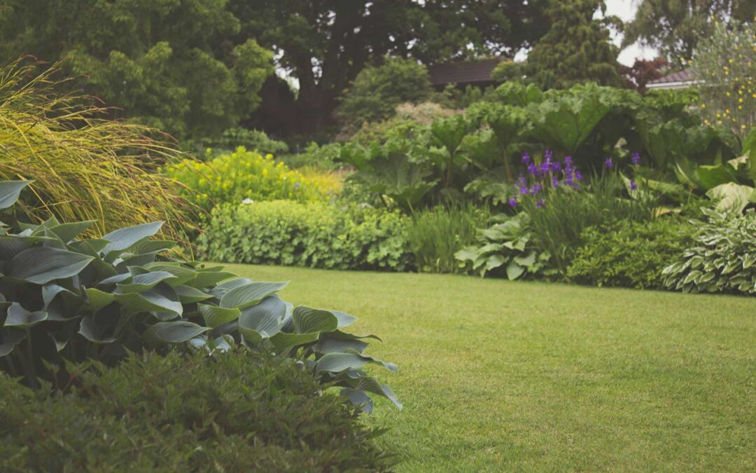 Crafting Timeless Outdoor Spaces: The Art and Experience of Landscape Design
