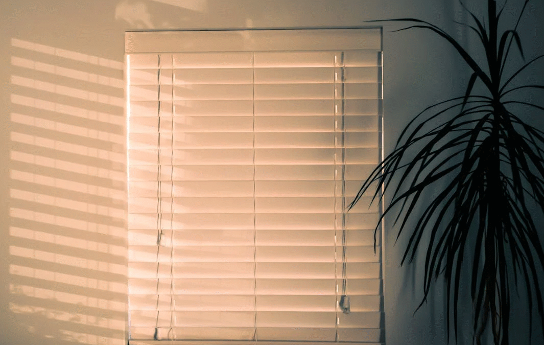 10 Stunning Window Blind Styles to Elevate Your Modern Home