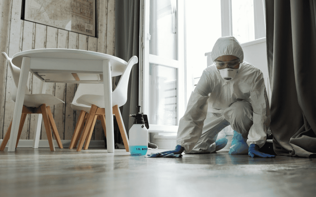 Why 80% of Home Allergies Could Be Tackled With Professional Rug Cleaning