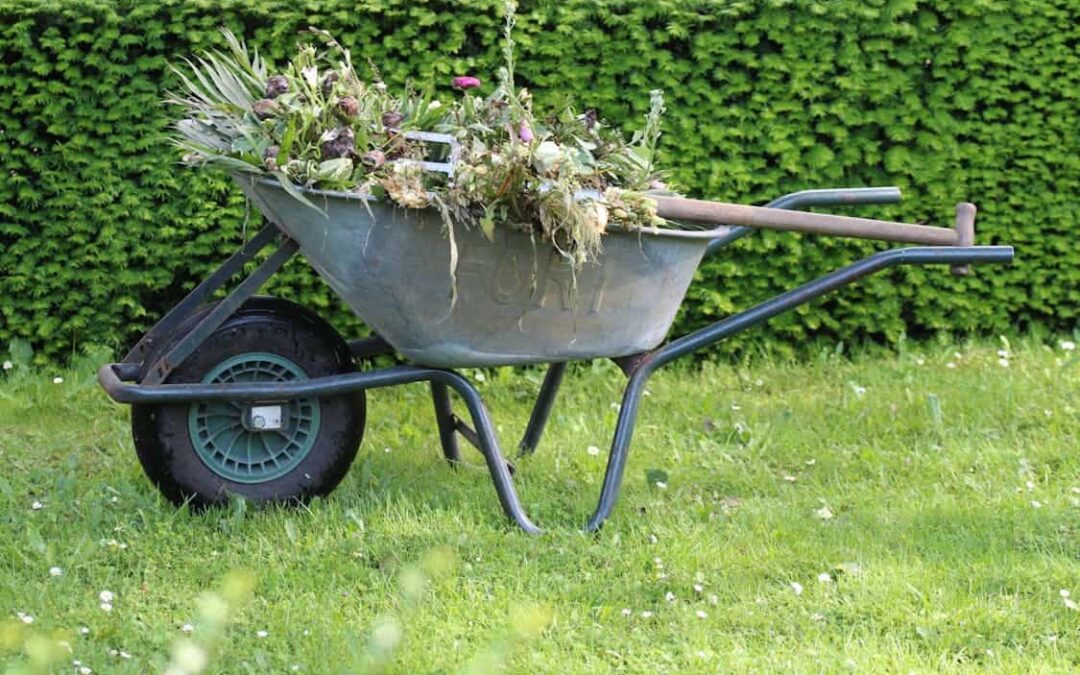 5 Common Cleanup Problems Solved with a Smart Dumpster Rental