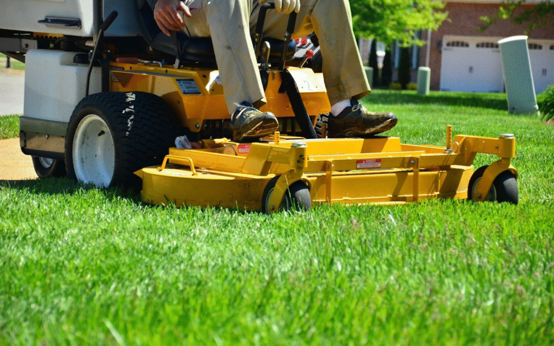 Common Lawn Care Mistakes: When to Call Expert Lawn Services