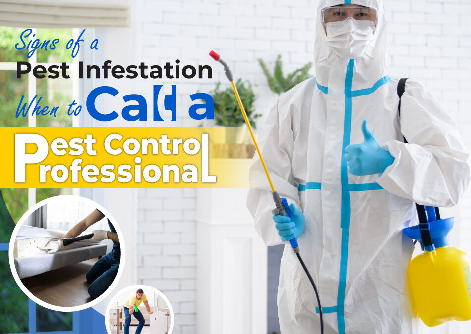 Signs of a Pest Infestation: When to Call a Pest Control Professional