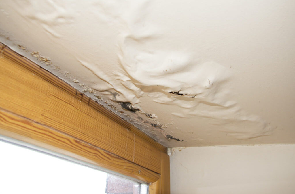How Water Damage Affects Different Parts of the Home