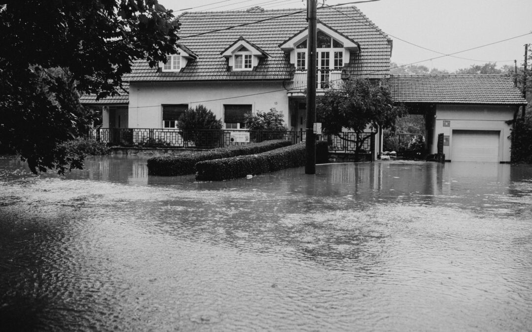 The Role of Professional Water Damage Remediation Services