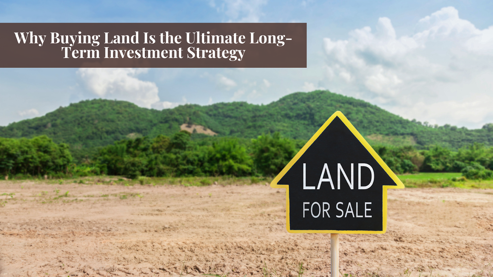 Why buying land is the ultimate long term investment Why buying land is the ultimate long term investment